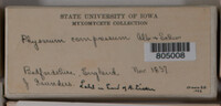 Image Associated With the Occurrence